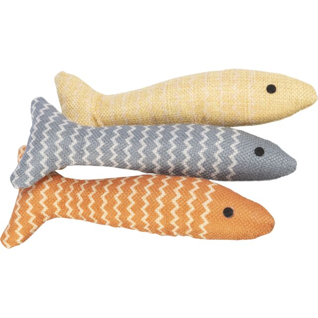 Fish in display