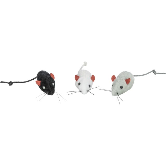 Mouse in display