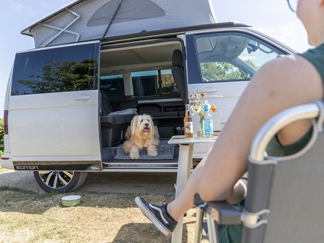 Camping with a dog: image camper
