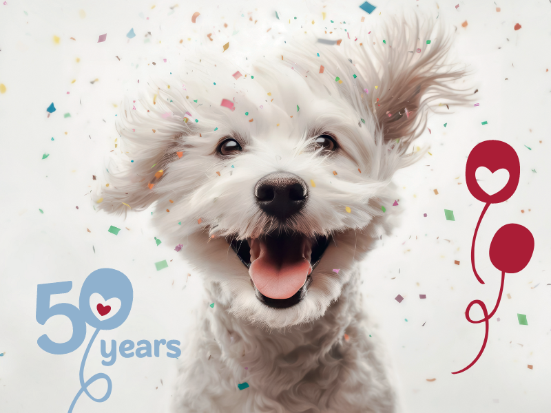 TRIXIE Heimtierbedarf feiert 50. Geburtstag! Tierliebe, Kundennähe, Jubiläum