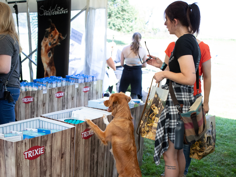 Hund und Frauchen gucken sich TRIXIE-Produkte in einem Pavillon an.
