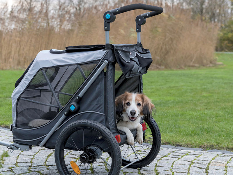 Trixie dog hot sale bike trailer