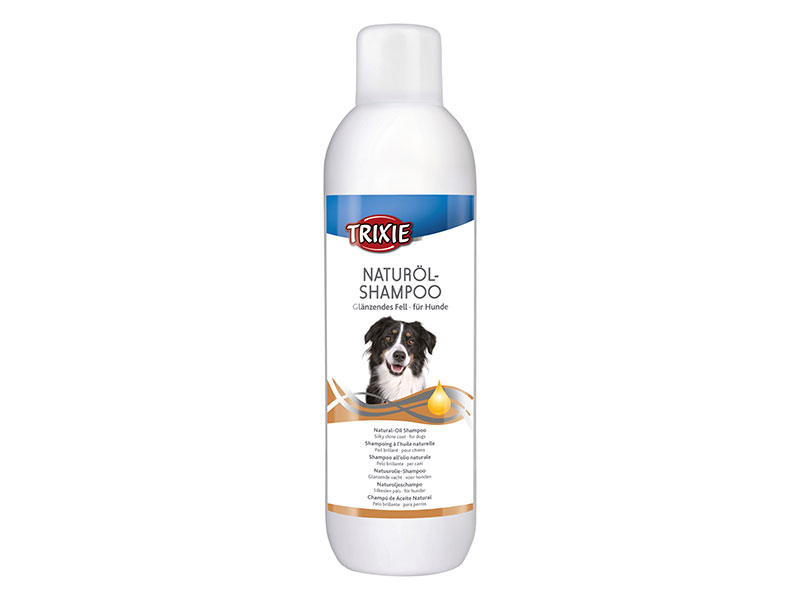 Regular shampoo on dogs cheap