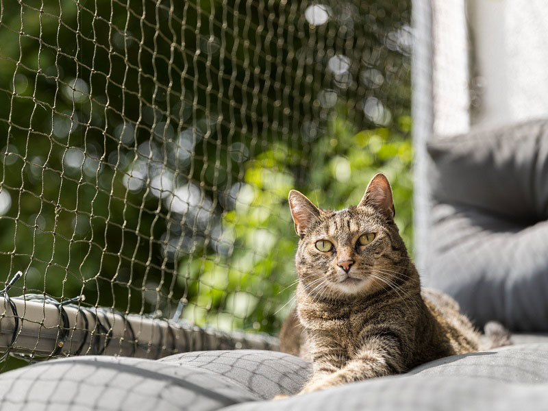 Katze Schutznetz Balkon