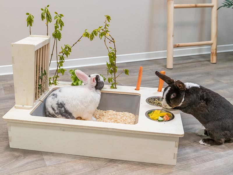 Trixie online pet shop