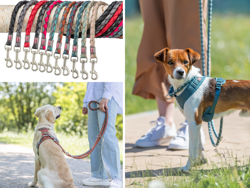dog leashes, walking, human and dog, walk, dog harness, leashes, TRIXIE Heimtierbedarf, friends for life