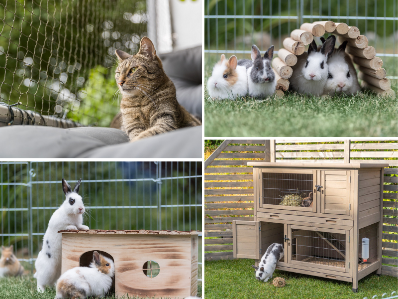 Katze auf Balkon, Kaninchenstall, Kaninchen draußen im Laufgehege, TRIXIE Heimtierbedarf