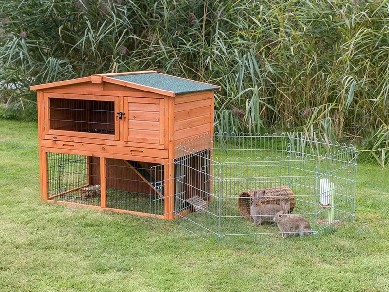 Kaninchenstall mit Freilaufgehege für den Garten