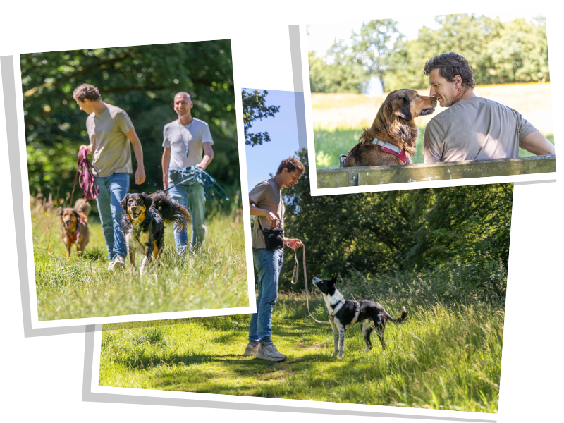 Mann mit Hund auf Bank, Männer gehen spazieren mit Hunden, Hundespaziergang, spazieren gehen mit Hund, Hundetraining, draußen unterwegs, Freunde fürs Leben, TRIXIE Heimtierbedarf