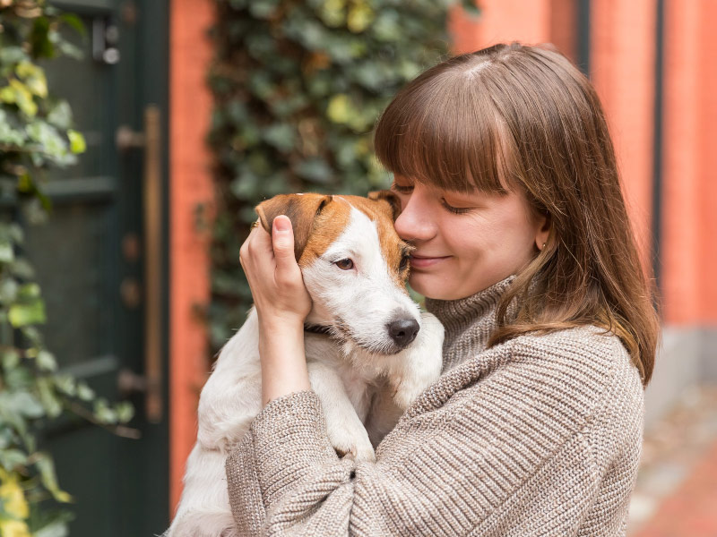 TRIXIE Pet Products