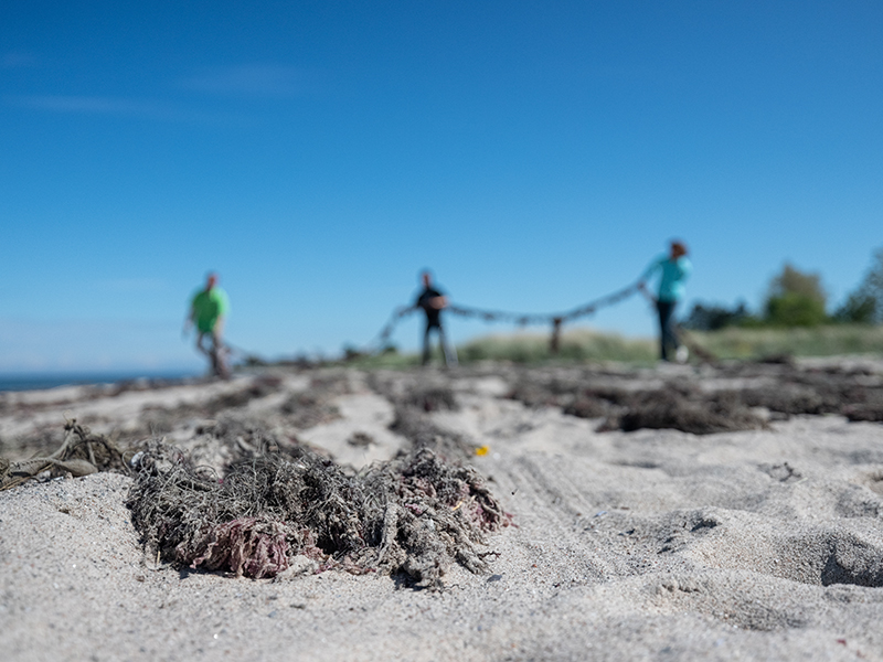Geisternetze liegen im Sand. Im Hintergrund verschwommen und vor blauem Himmel sind drei Personen, die ein weiteres Geisternetz aus dem Wasser ziehen. 